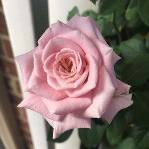 Meet your Closet Curator